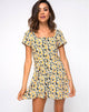 Image of Zavacca Dress in Delightful Daisy