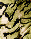 Tiger Full Khaki Placement