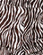 Zebra Vertical