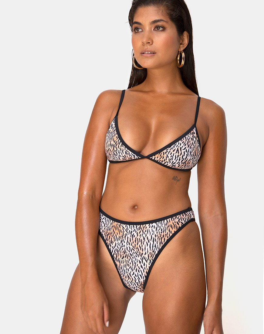 Image of Varna Bikini Bottom in Mini Tiger with Black Binds